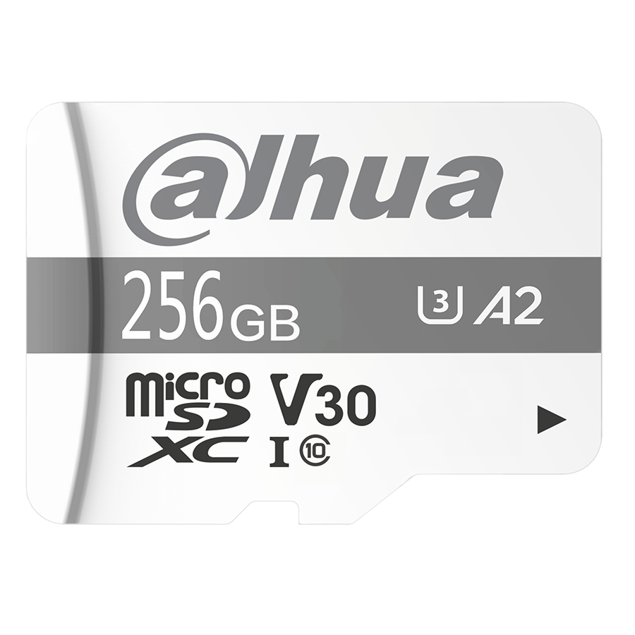 DHI-TF-P100256GB Memoria Micro SD 256GB