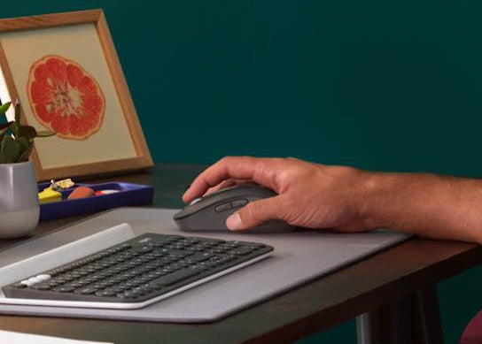 Ratón Inalámbrico Logitech Signature M650 L – Grafito (910-006231)