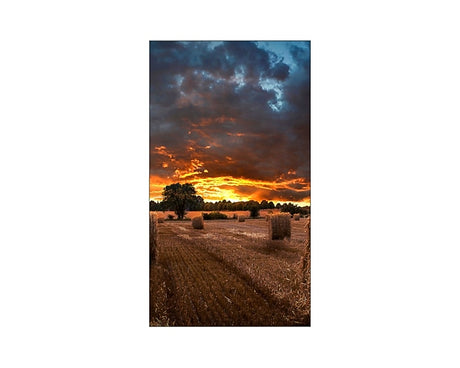 Pantalla de Señalización Digital Samsung VM46B-U | 46", Full HD, LED, Uso Continuo – LH46VMBUBGBXGO
