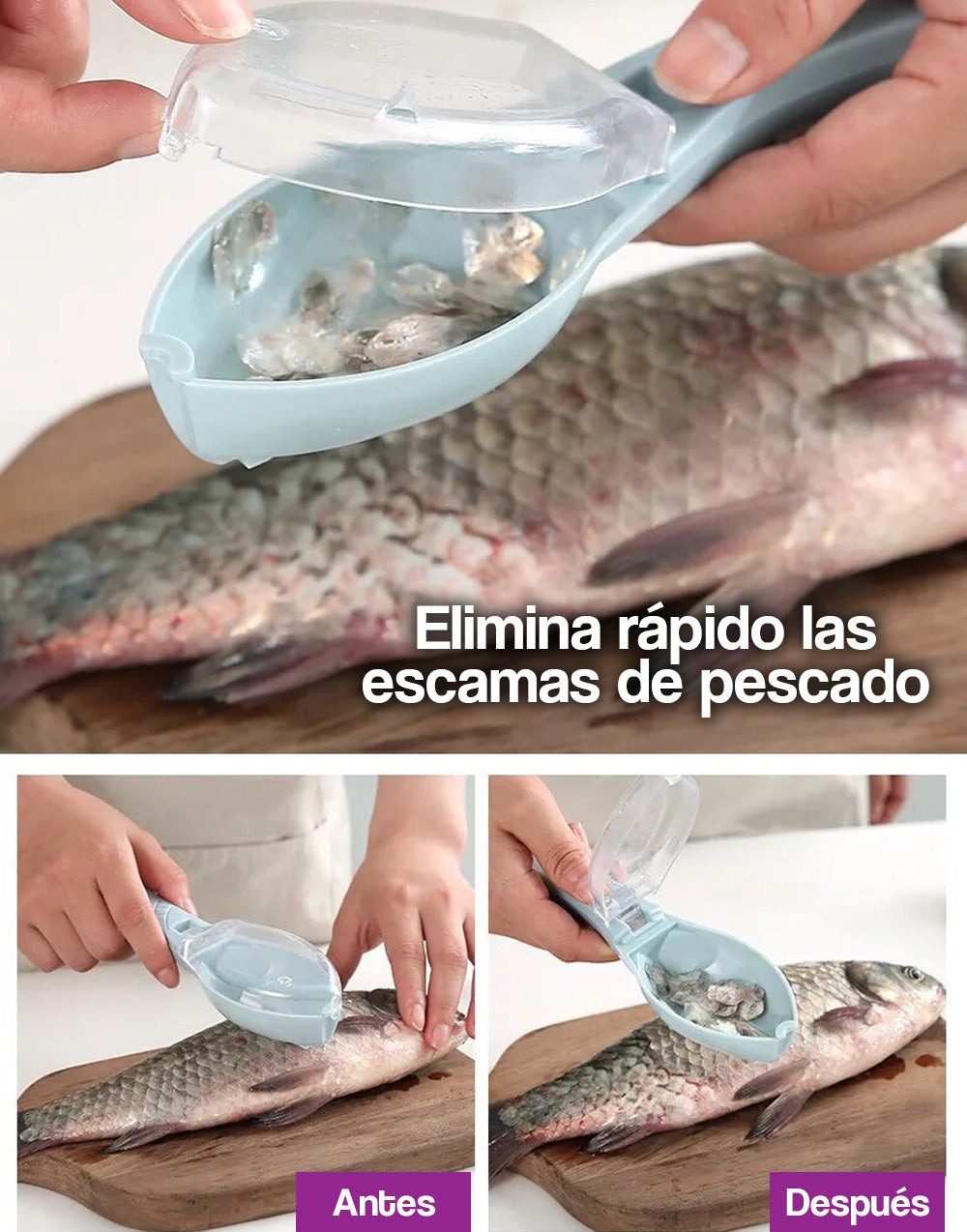 Removedor de escamas de pescado