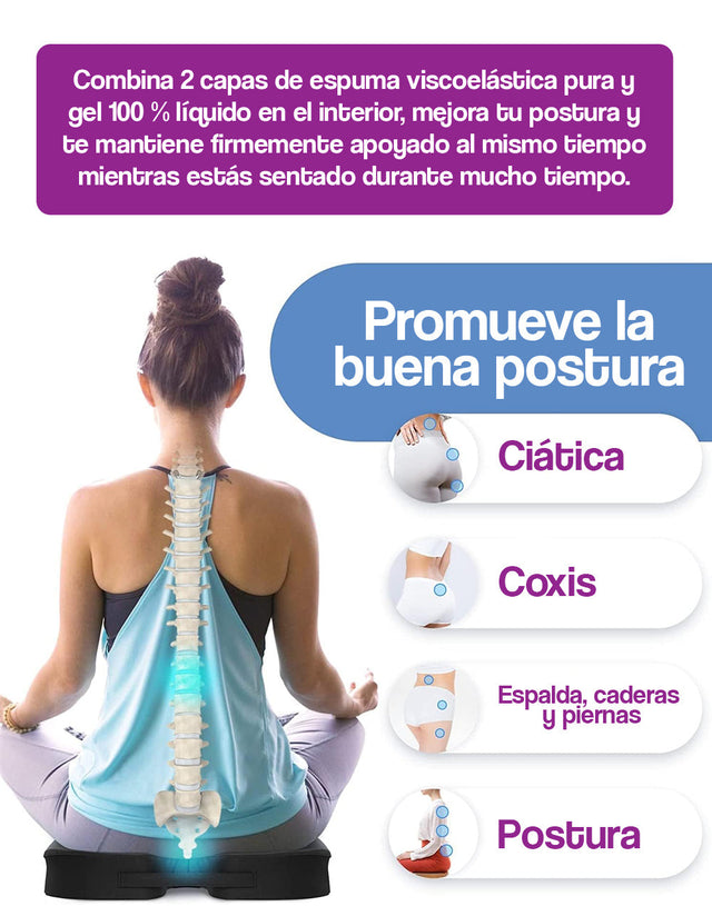 Asiento de cojín